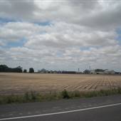 Pecan Grove Road