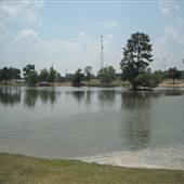 Olive Branch City Park