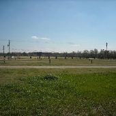 Agriculture/Shelby Farms
