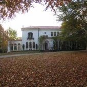 517 GOODWYN