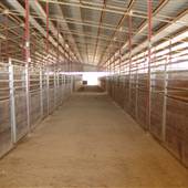 Agricenter Showplace Arena