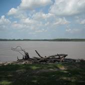copy of 'Greenbelt Park/Harbortown'