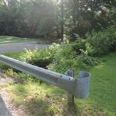 Overton Park Golf Course Area, Walking Trails, and Playground