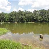 Shelby Farms Park 2015