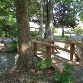 Drainage Ditch-Cypress Dr. and Center Dr.