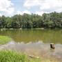 Shelby Farms Park 2015
