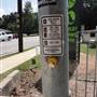 Greenline