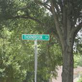 Germantown - Thornbrook Cv