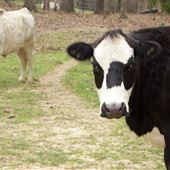 Frederick Baptist Park