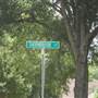 Germantown - Thornbrook Cv