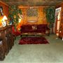 Lil' Graceland Airbnb