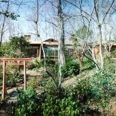 3343 Woodhaven Rd