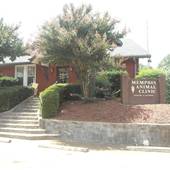Memphis Animal Clinic