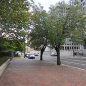 North Main Street - Poplar Ave and N Main St