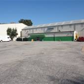 Greenfield Arena (Midtown Location)