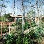 3343 Woodhaven Rd