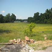 Empty Lot in Frayser