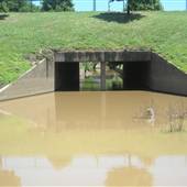 Drainage Ditch