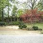 Mid Century homes/Mansions