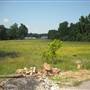 Empty Lot in Frayser