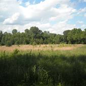Field on Amherst Road