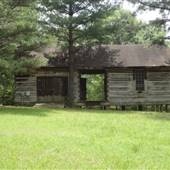 Abandoned Cabin