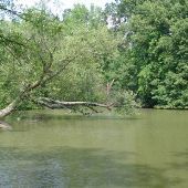 Chickasaw Gardens lake
