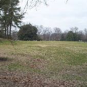Overton Park