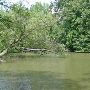 Chickasaw Gardens lake