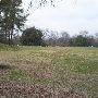 Overton Park