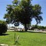 Leahy's Motel Court/Trailer park