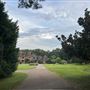2600 Forest Hill Irene