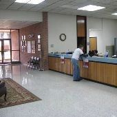 Millington City Hall