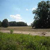 Farms on Mimosa Road