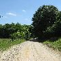 Fletcher Drive - Piperton