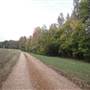 5543 Austin Rd