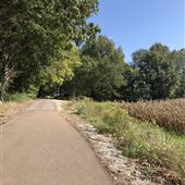 Agricenter International fields