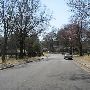 Walnut Grove/Poplar Area