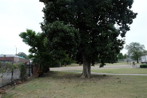 Army Park