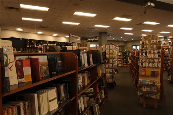 Novel Memphis