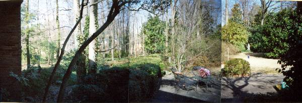 3343 Woodhaven Rd